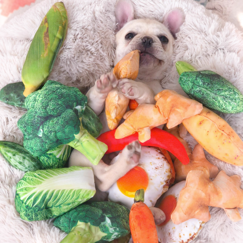 Vocal plush toy for pets
