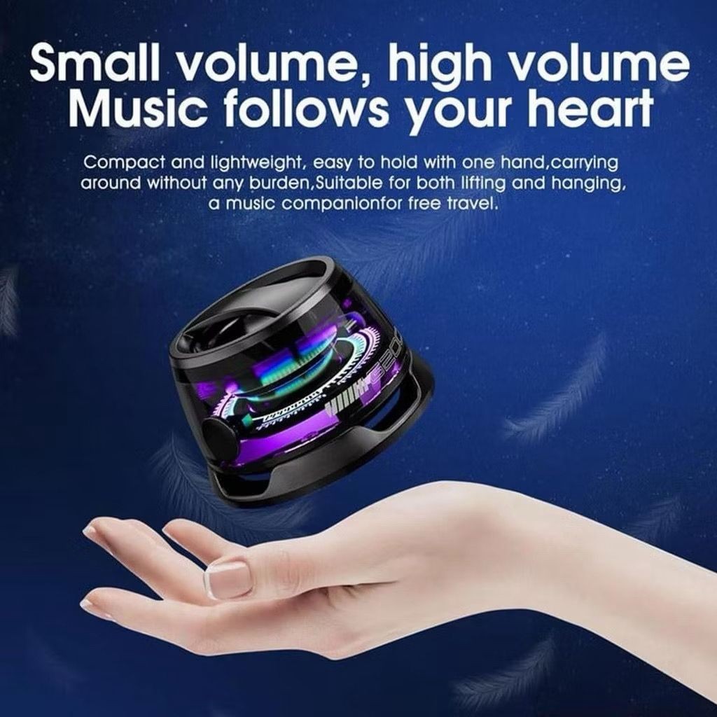 Pet accessory set